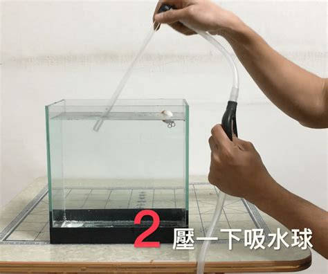 魚缸 換水|魚缸的換水頻率與方法